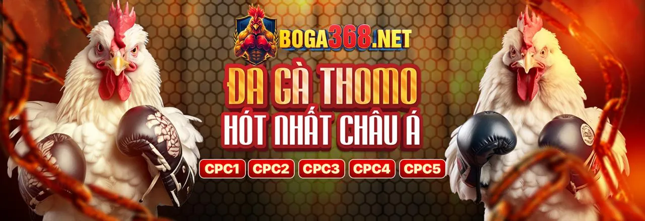 Đá Gà Trực Tuyến Hấp Dẫn tại 18bet nhà cái